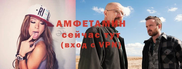 сатива Кинешма