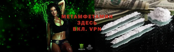 сатива Кинешма