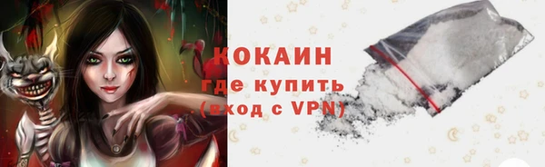сатива Кинешма