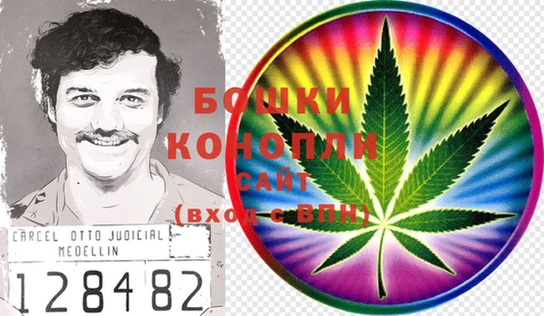 сатива Кинешма