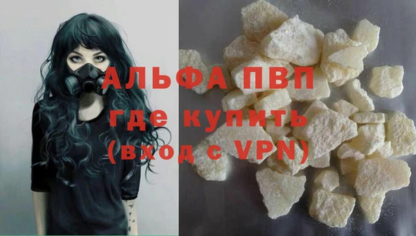 сатива Кинешма