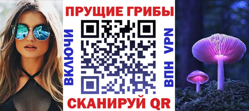 Купить где  Лихославль  Галлюциногенные грибы мицелий 